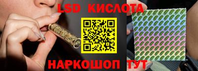 гашик Донецк