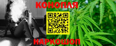 гашик Донецк