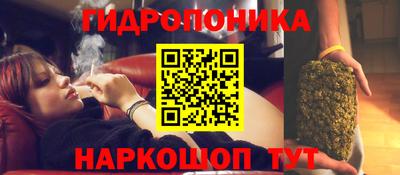 гашик Донецк