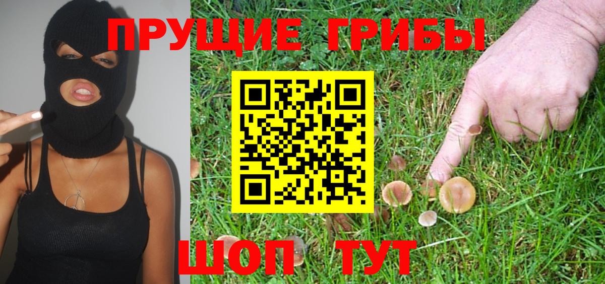 Псилоцибиновые грибы Cubensis Медногорск